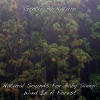 Natural Sounds For Baby Sleep: Wind In A Forest - Single cover artwork